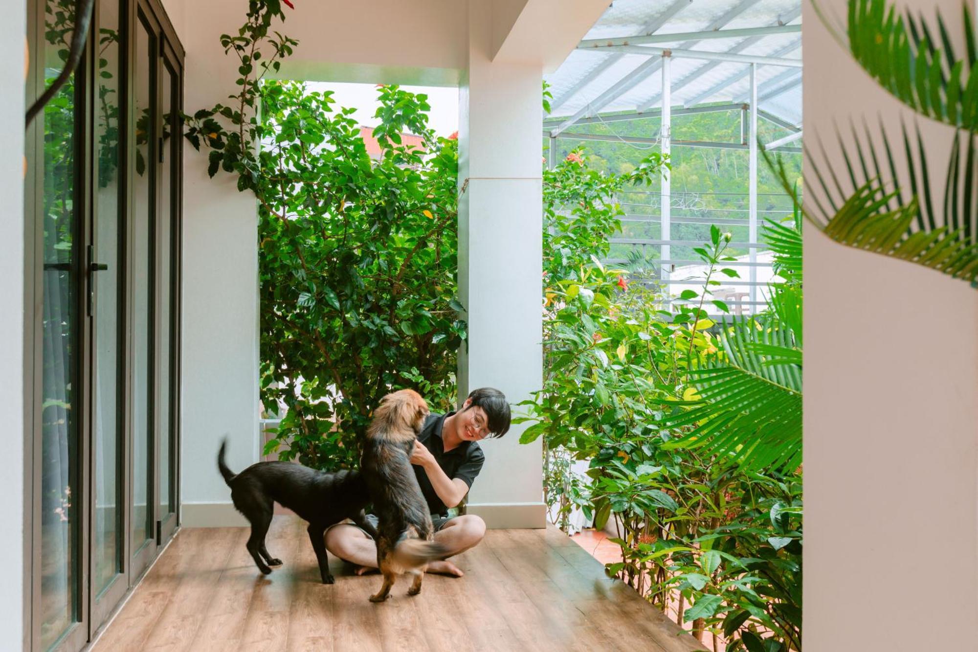 D'Home Homestay Cat Ba Dong Khe Sau Εξωτερικό φωτογραφία